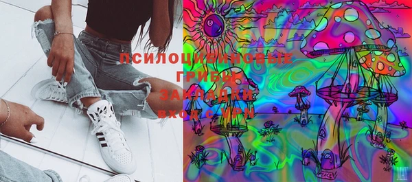 стафф Сосновый Бор