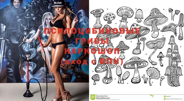 таблы Сосновоборск