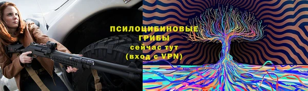 твердый Сосновка