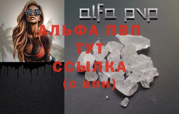 стафф Сосновый Бор
