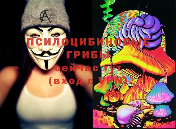 стафф Сосновый Бор