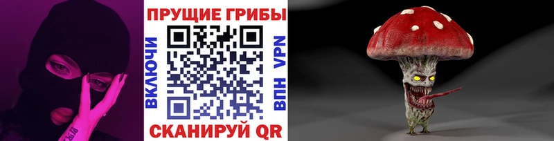 Галлюциногенные грибы прущие грибы Купить Сунжа