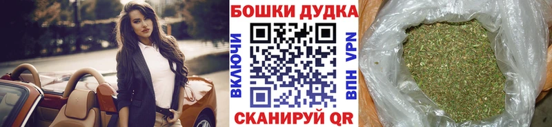 Каннабис OG Kush  Купить закладки  Сунжа 